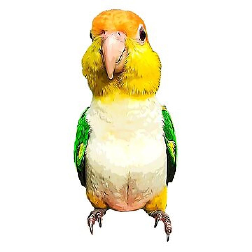 كايك وايت بيلي