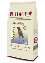 لوري بيرلز من سيتاكوس PSITTACUS LORY PEARLS