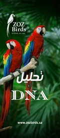 تحليل دي ان ايه للطيور  DNA Test