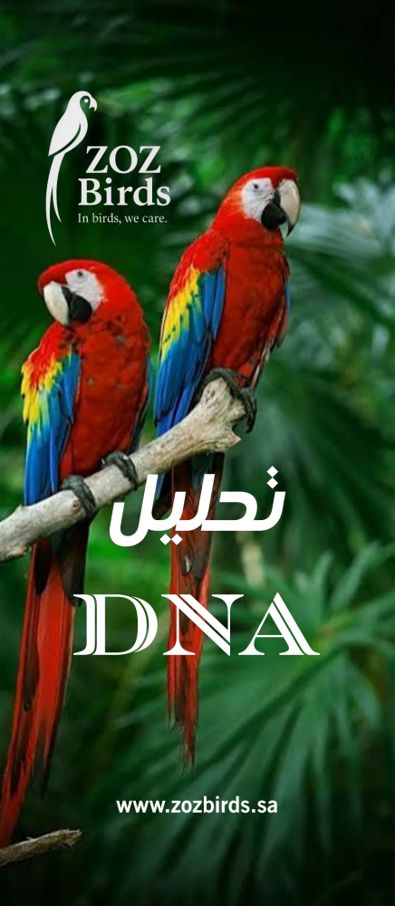 تحليل دي ان ايه للطيور  DNA Test