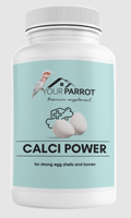 Your Parrot - مكمل غذائي كالسي باور مسحوق بودرة الكالسيوم للطيور 500 ج
