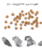 MINOR PSITTACUS سيتاكوس غذاء الروز والطيور المتوسطة
