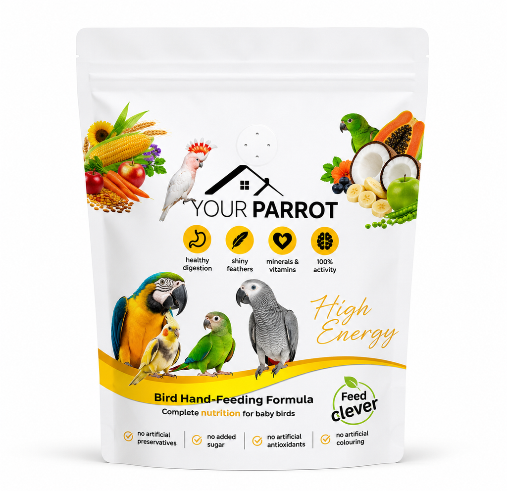 Your Parrot - خلطة الفواكه والخضروات
