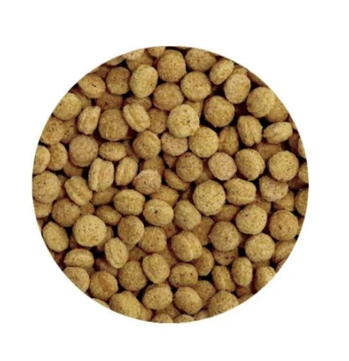 Pet Cup Perfect Fruits & Nuts (المخصص للببغاوات الصغيرة والمتوسطة) باليتس بت كوب