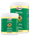 Quiko Spirulina سبيرولينا طبيعية لتقوية الريش والمناعة من كويكو