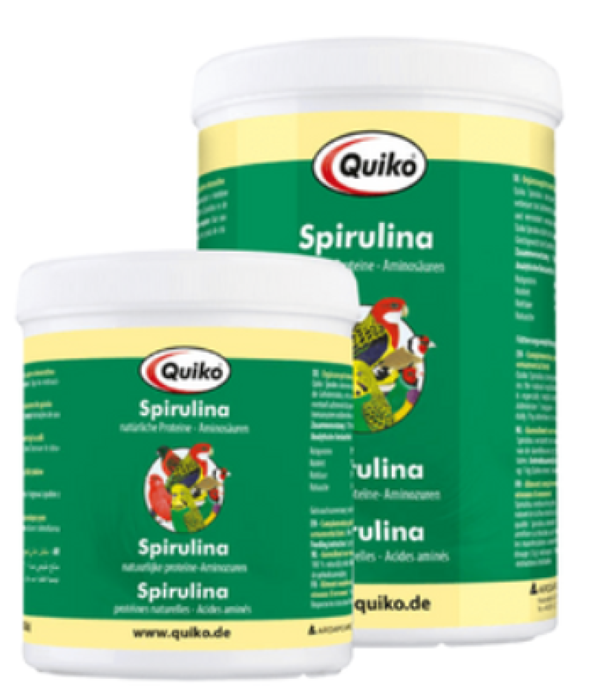 Quiko Spirulina سبيرولينا طبيعية لتقوية الريش والمناعة من كويكو