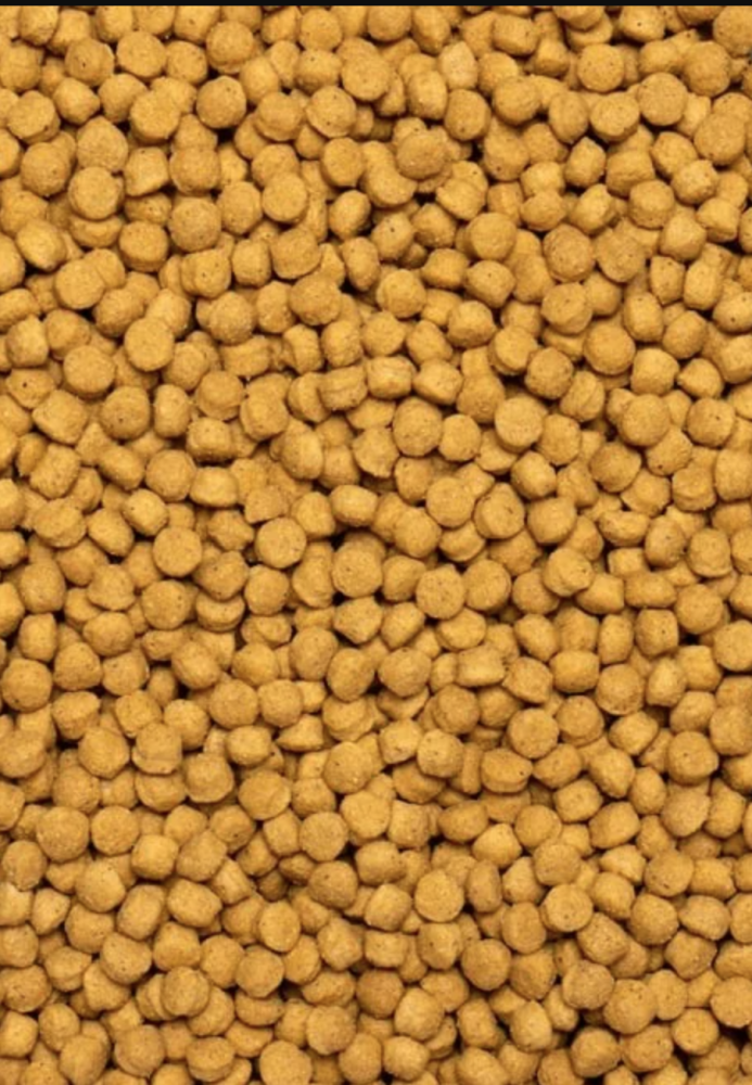 سيتاكوس غذاء الأمازوني عالي البروتين PISTTACUS High Protin