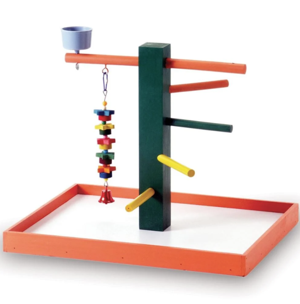 بريفيو بيت منصة لعب مع صحن علف - لعبة ببغاء الكروان و الكوكتيل Prevue Pet Playgrounds Big Steps