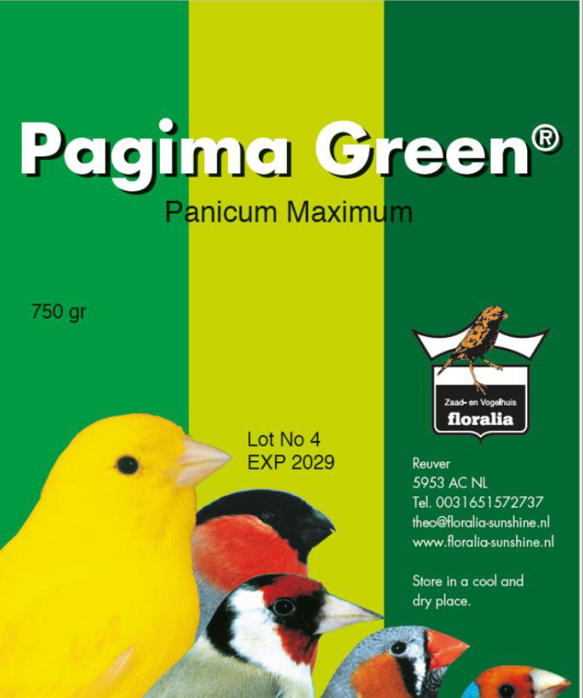 Floralia Pagima Green – فلوراليا مزيج باجيما أخضر طبيعي لطيور الزينة